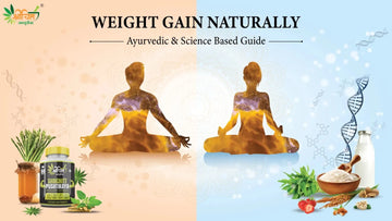 Balanced concept of Ayurvedic and science-based approach to healthy weight gain, featuring Shrichitt Pushtikaya supplement, herbs, and natural foods representing holistic nourishment.