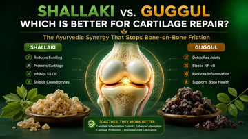 3D medical illustration comparing Shallaki and Guggul resins for cartilage health, showing a healthy knee joint with joint cushioning, lubrication support, inflammation management, and Ayurvedic herbal synergy for mobility and comfort.